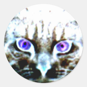 Adesivo Vinhetas redondas desarrumadas