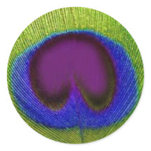 Vinhetas/Vedantes de Pavão Azul Verde Púrpura