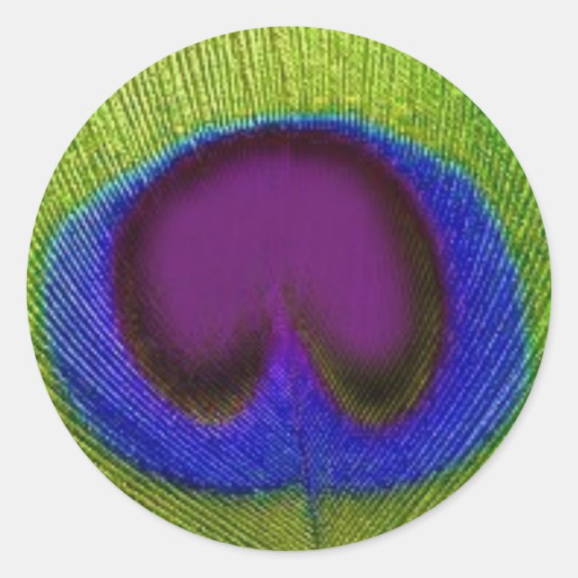 Adesivo Vinhetas/Vedantes de Pavão Azul Verde Púrpura (Frente)