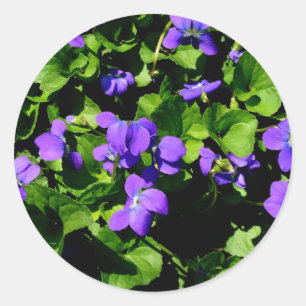 Adesivo Vinhetas Violetas