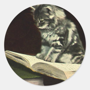 Adesivo Vintage Animal, Cuja Leitura De Kitten Vitoriana É