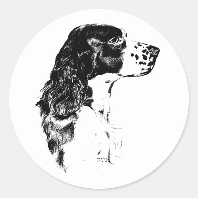 Adesivo Vintage Art English Springer Spaniel Dog (Frente)