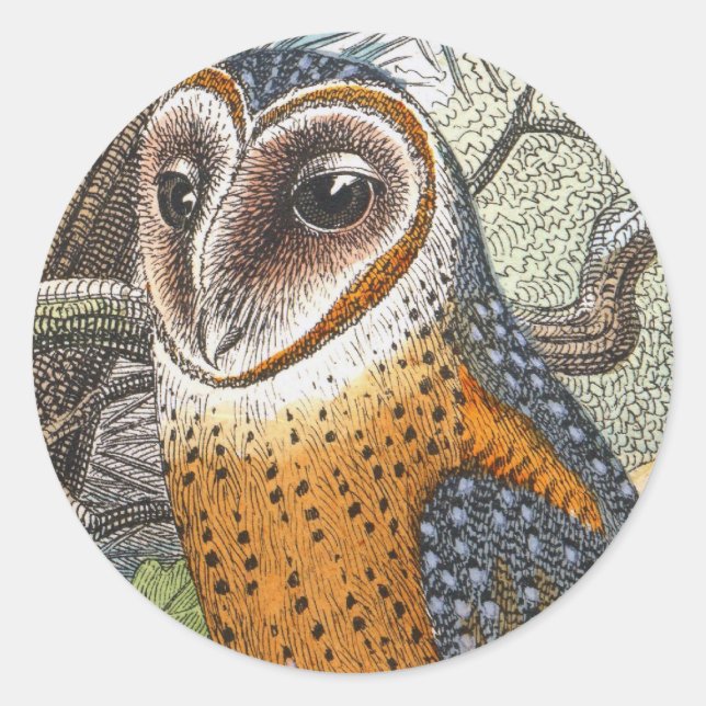 Adesivo Vintage Barn Owl Painting (Frente)