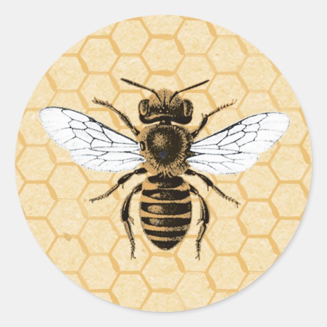 Adesivo Vintage Bee em Honeycomb (Frente)