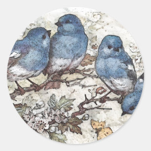 Adesivo Vintage bluebird ilustra aves bonitinhas natureza