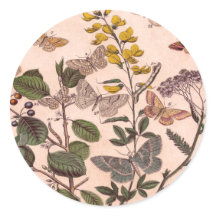 Vintage Botânica Floral Ilustração de Flores Selva