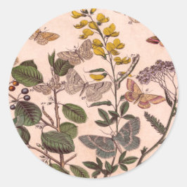 Adesivo Vintage Botânica Floral Ilustração de Flores Selva