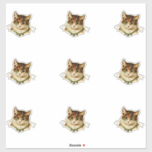 Adesivo Vintage Cat
