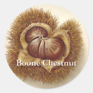 Adesivo Vintage Chestnut Stickers