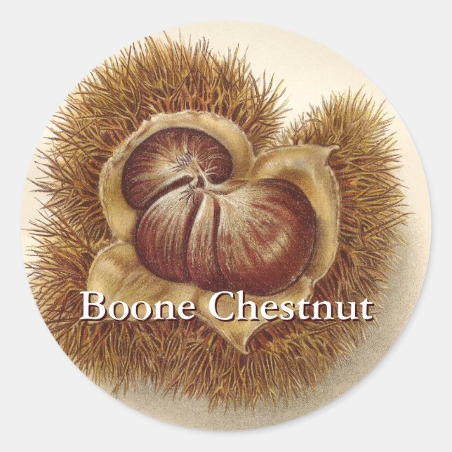 Adesivo Vintage Chestnut Stickers (Frente)