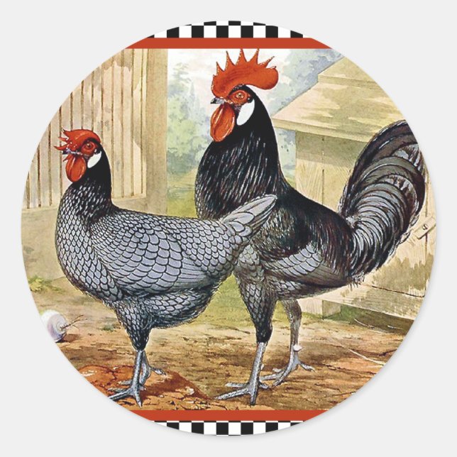 Adesivo Vintage Chicken Rooster (Frente)