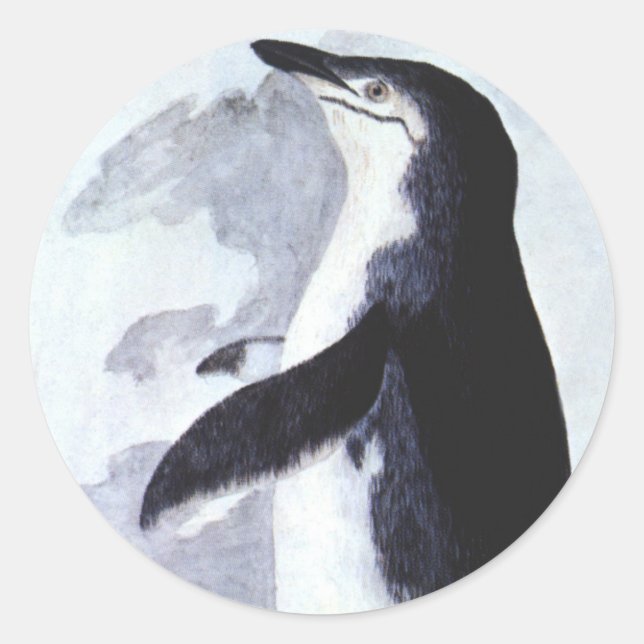 Adesivo Vintage Chinstrap Penguin, Aves da Antártica (Frente)