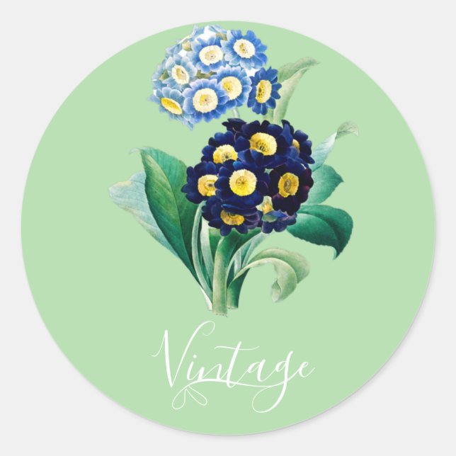 Adesivo Vintage Cowslip Primrose botânica (Frente)