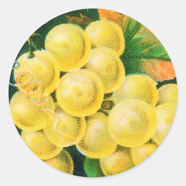 Adesivo Vintage Fruta Crate Label Art, Muscat Graphics (Frente)