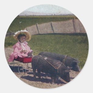 Adesivo Vintage Girl and Her Pet Pigs