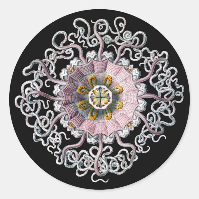 Adesivo Vintage Haeckel Personalizável (Frente)