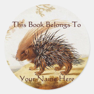Adesivo Vintage Hedgehog Sticker