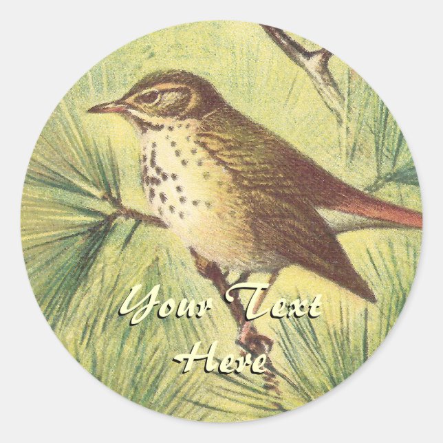 Adesivo Vintage Hermit Thrush Stickers (Frente)