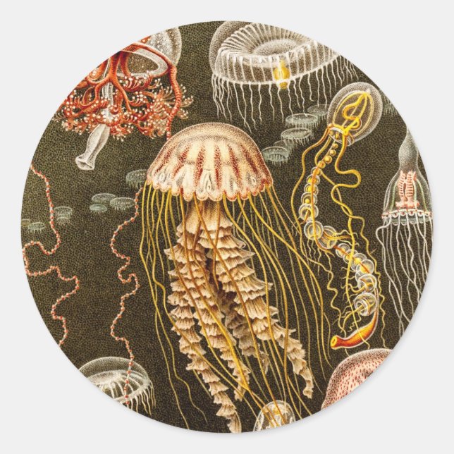 Adesivo Vintage Jellyfish Antiguado Peixe Modelo (Frente)