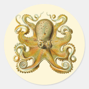 Adesivo Vintage Kraken, Octopus Gamochonia, Ernst Haeckel