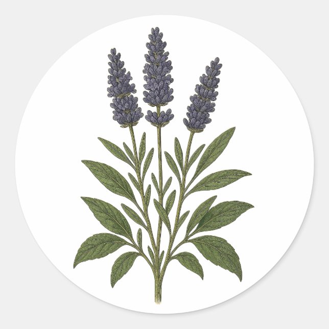 Adesivo Vintage Lavanda - redondo (Frente)