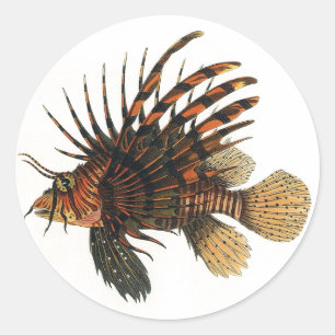Adesivo Vintage Lionfish Fish, Marine Ocean Life Animal
