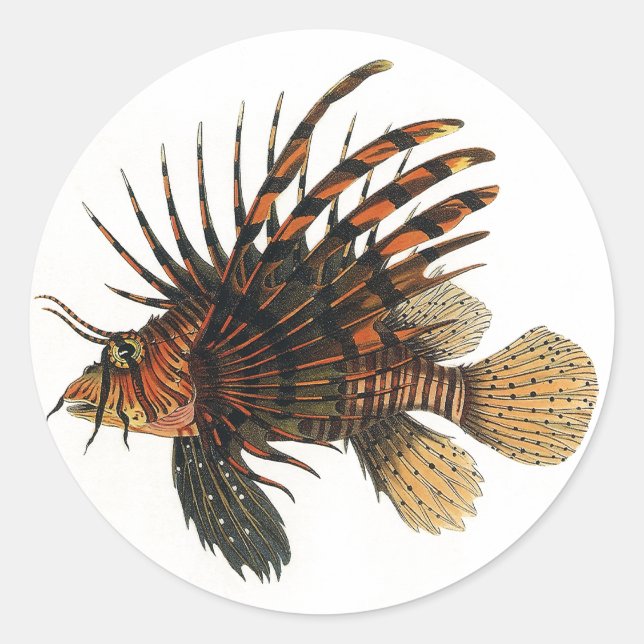 Adesivo Vintage Lionfish Fish, Marine Ocean Life Animal (Frente)