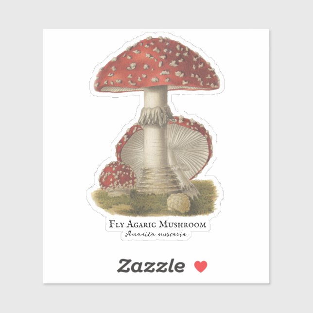 Adesivo Vintage Magic Mushroom Custom-Cut Vinyl Sticker (Folha)