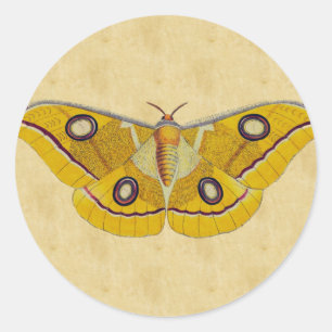 Adesivo Vintage Moth