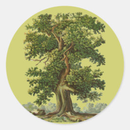 Adesivo Vintage Oak Tree Art Sticker
