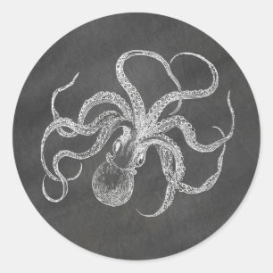 Adesivo Vintage Octopus Chalkboard Background Modelo