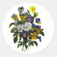 Vintage Pansy Impressão