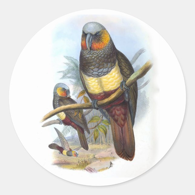 Adesivo Vintage Parrot Bird PE_GC - Sticker (Frente)
