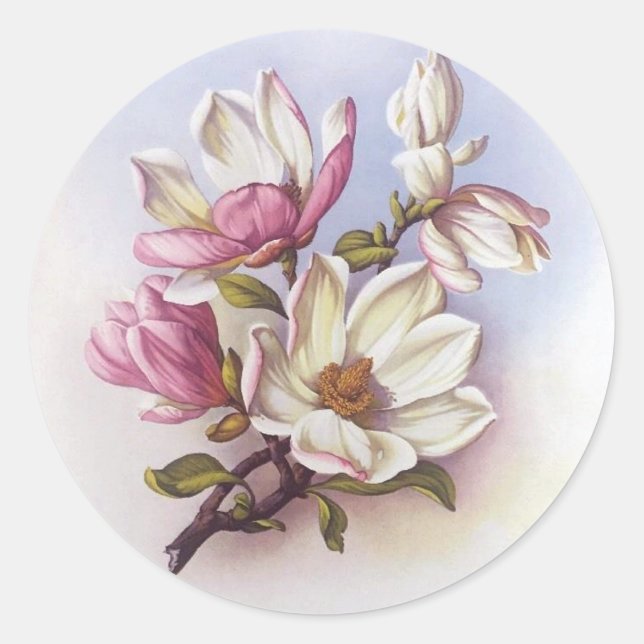 Adesivo Vintage Pink Magnolia Retro Botânica Stickers (Frente)