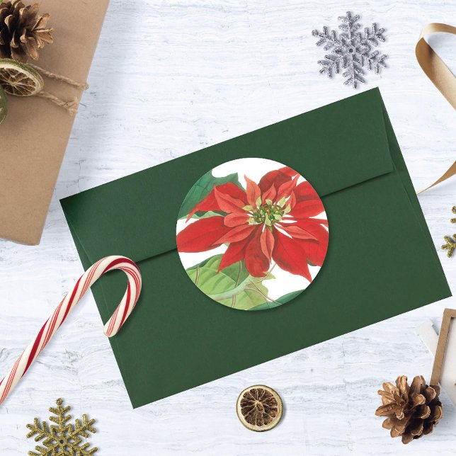 Adesivo Vintage Poinsettia Botânica (Criador carregado)
