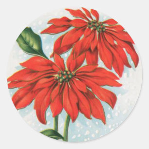 Adesivo Vintage poinsettia, vinheta de natal