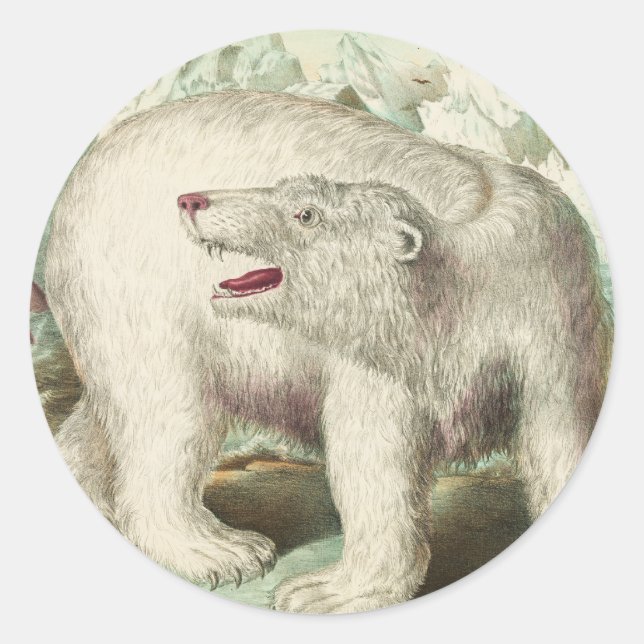 Adesivo Vintage Polar Bear Art (Frente)