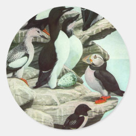 Adesivo Vintage Puffins e Aves Aquáticas de Louis Fuertes