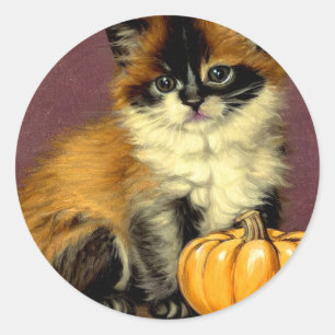 Adesivo Vintage Ragdoll Halloween Cat