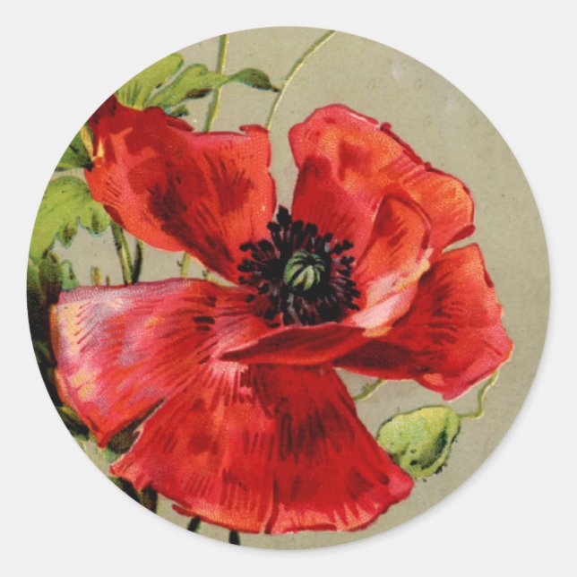 Adesivo Vintage Red Poppy (Frente)