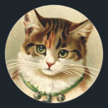 Adesivo Vintage Retro Christmas Cat Com Colarinho De Célul<br><div class="desc">Esta é uma fotografia Vintage muito fofa de um gatinho querido. Ela tem olhos verdes tão bonito e eu adoro seu colar de sino!</div>