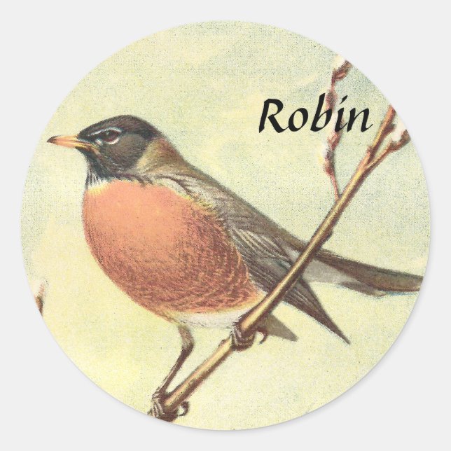 Adesivo Vintage Robin Stickers (Frente)