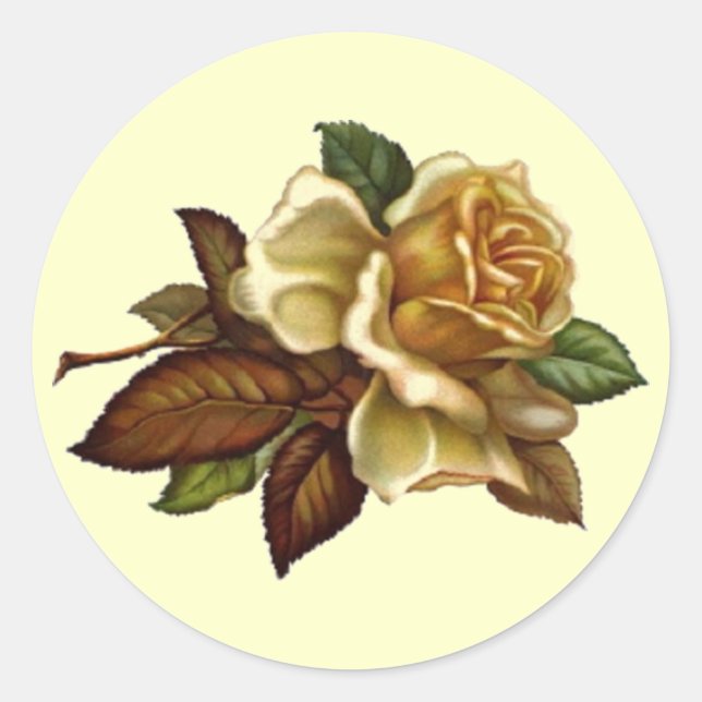 Adesivo Vintage Rosa Sticker (Frente)