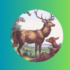 Adesivo Vintage Round Sticker