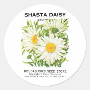 Adesivo Vintage Seed Packet Art, Shasta Daisy Flowers