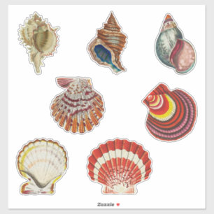 Adesivo Vintage Shells Sticker Set