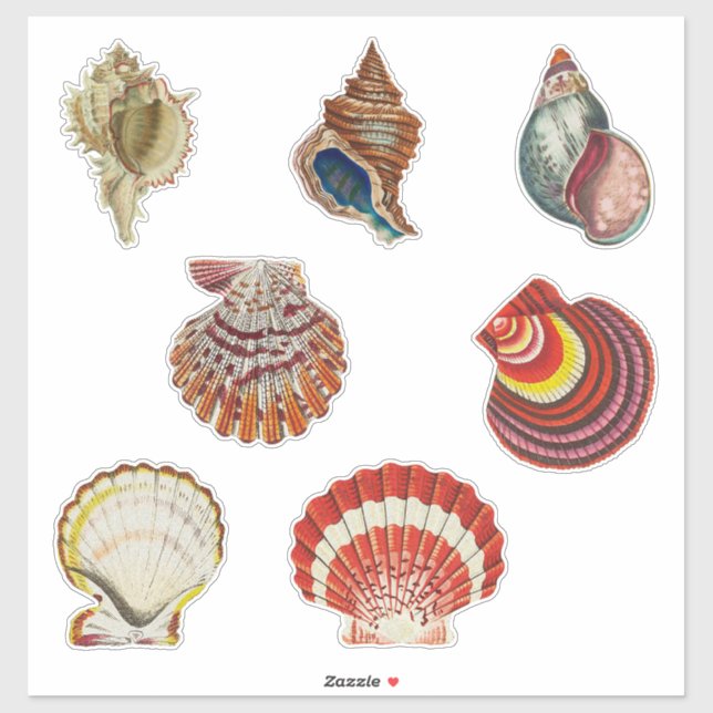 Adesivo Vintage Shells Sticker Set (Folha)