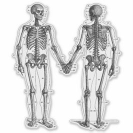 Adesivo Vintage Skeletons Diagrama com Ossos Numerados