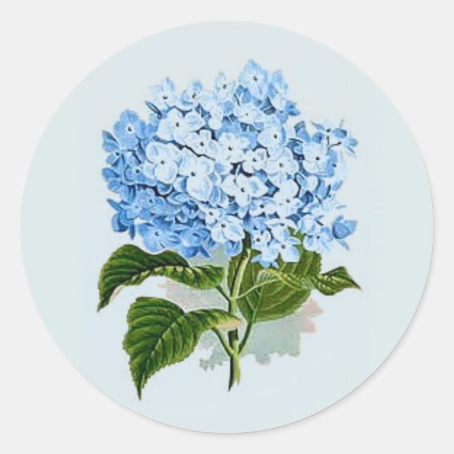 Adesivo Vintage Sky Blue Hydrangea (Frente)