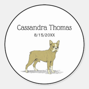 Adesivo Vintage Stylized French Bulldog C